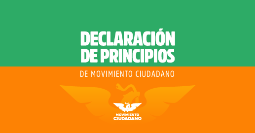 Declaración de principios